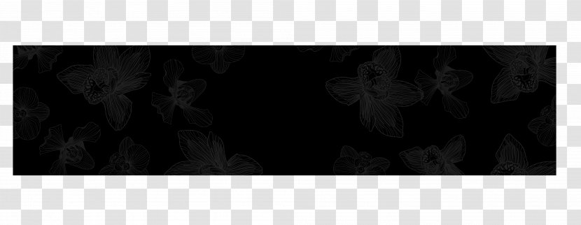 Stock Photography Picture Frames Desktop Wallpaper - Fireworks Bloom Transparent PNG