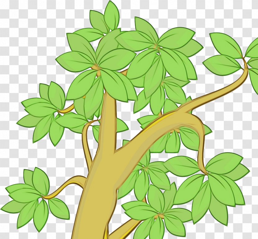 Leaf Green Plant Flower Flowering - Wet Ink - Branch Tree Transparent PNG