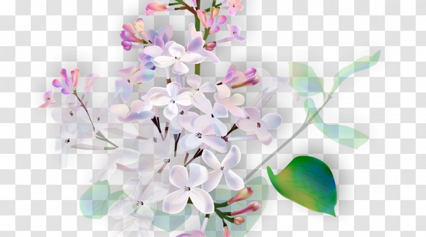 Floral Design CrossFire: Legends Cut Flowers - Floristry - Flower Transparent PNG