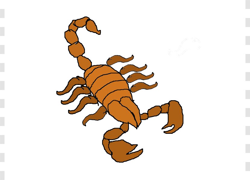 Scorpion Animation Clip Art - Organism - Teacher Transparent PNG