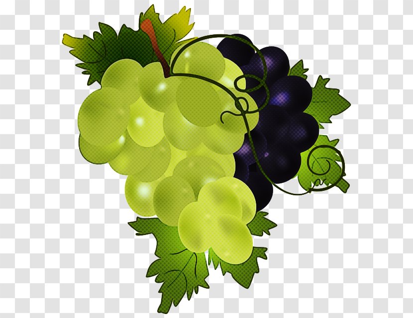 Grape Seedless Fruit Leaves Grapevine Family Vitis - Flowering Plant Transparent PNG