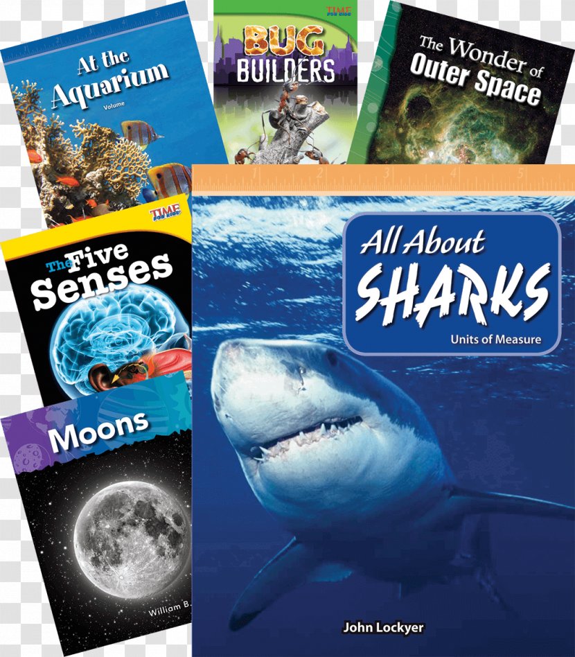 Shark Water Fish Advertising Marine Biology - Guided Reading Library Book Room Transparent PNG