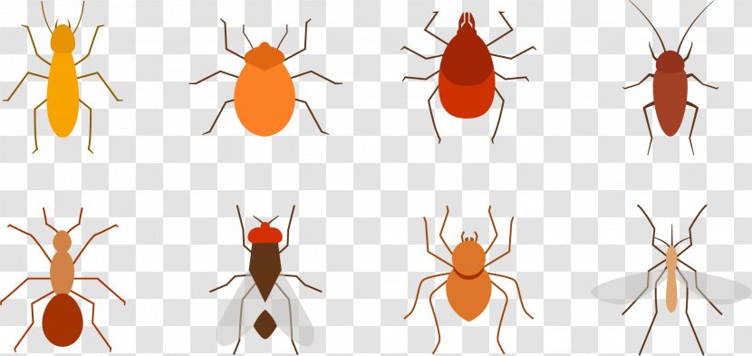 Mosquito Insect Pest - Arthropod - Mosquitoes, Pests, Flies Transparent PNG