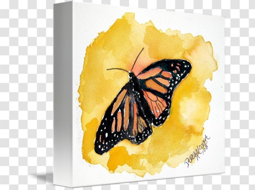 Monarch Butterfly Watercolor Painting Drawing Transparent PNG
