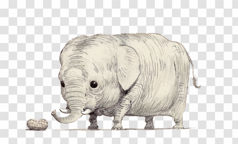 Rhinoceros Riding An Elephant Shooting Illustration - Heart - Cute With Big Eyes And Short Limbs, Nose Transparent PNG