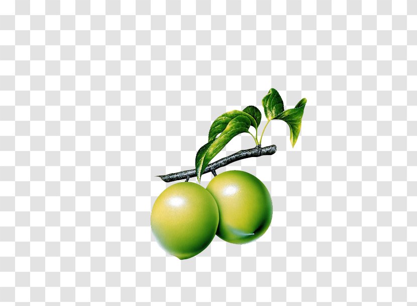 Guava Lemon Clip Art - Fruit - Plum Transparent PNG