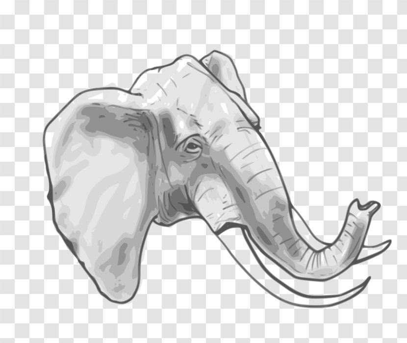 African Elephant Indian Elephantidae Clip Art - Mammal - Circus Transparent PNG