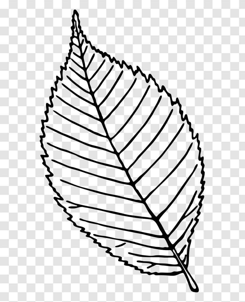 Book Black And White - Plant - Blackandwhite Transparent PNG