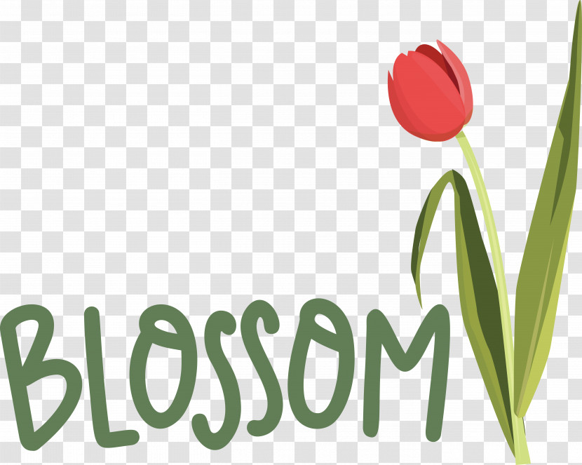 Flower Plant Stem Logo Tulip Font Transparent PNG