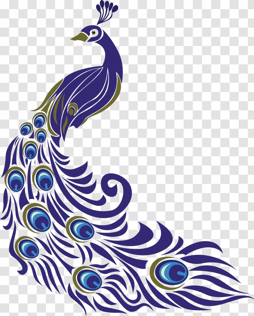 Pavo Drawing Clip Art - Area - Peacock Pattern Transparent PNG