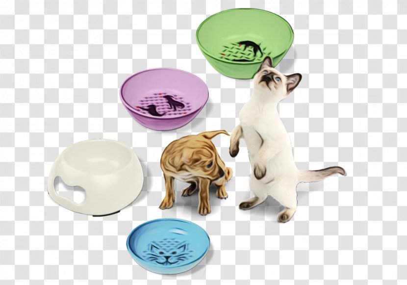 Dog And Cat - Pet - Puppy Kitten Transparent PNG