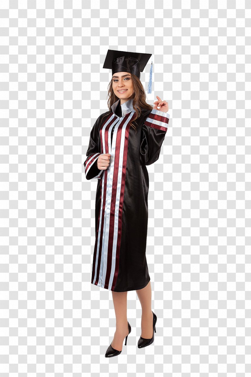 Academic Dress Robe Graduation Ceremony Academician Square Cap - Degree - Phd Transparent PNG