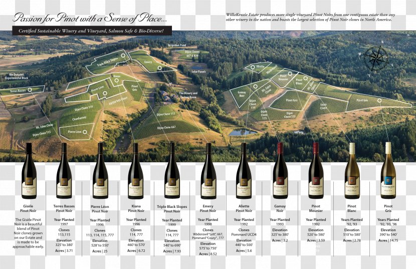 WillaKenzie Estate Pinot Noir Oregon Wine Willamette Valley Vineyards - Urban Design - Vineyard Transparent PNG