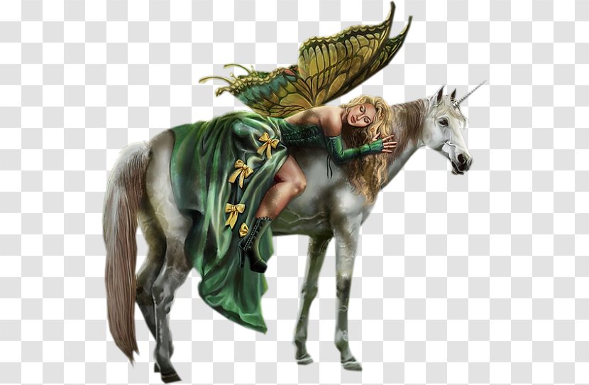 Fairy Tale Elf Fantasy Unicorn - Horse Like Mammal Transparent PNG