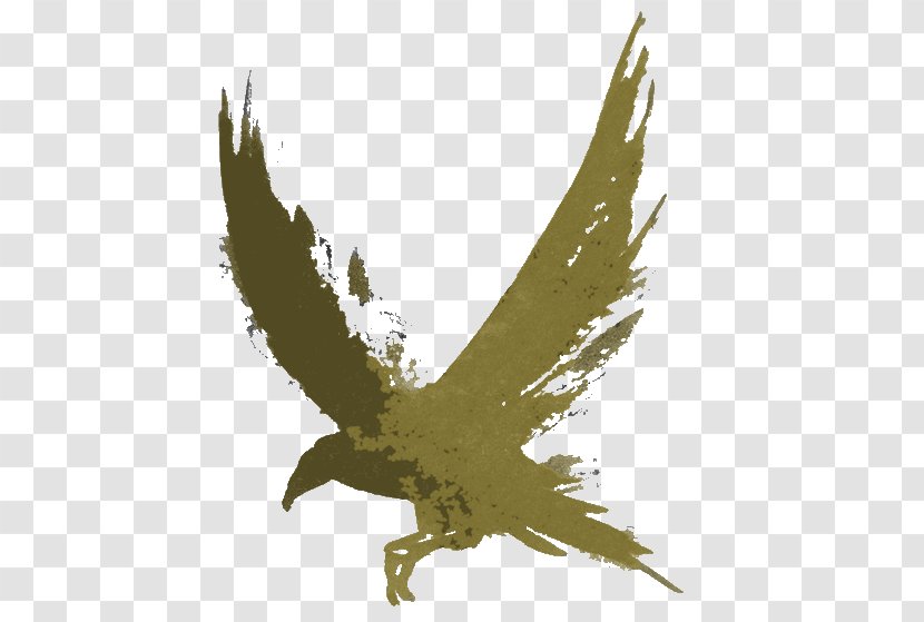Golden Eagle Bird Wing Kite - Plant Osprey Transparent PNG