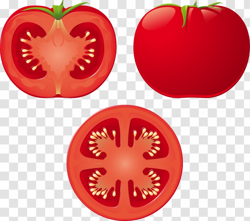 Tomato Soup Royalty-free Clip Art - Potato And Genus - Vector Transparent PNG