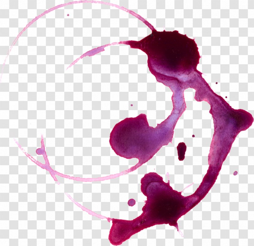 Wine Food .is Microsoft Paint - Tree - Watercolor Stain Transparent PNG