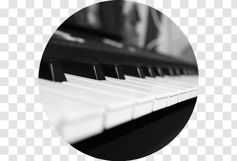 Digital Piano Musical Keyboard - Tree - Jumbo Lump Crab Cakes Transparent PNG