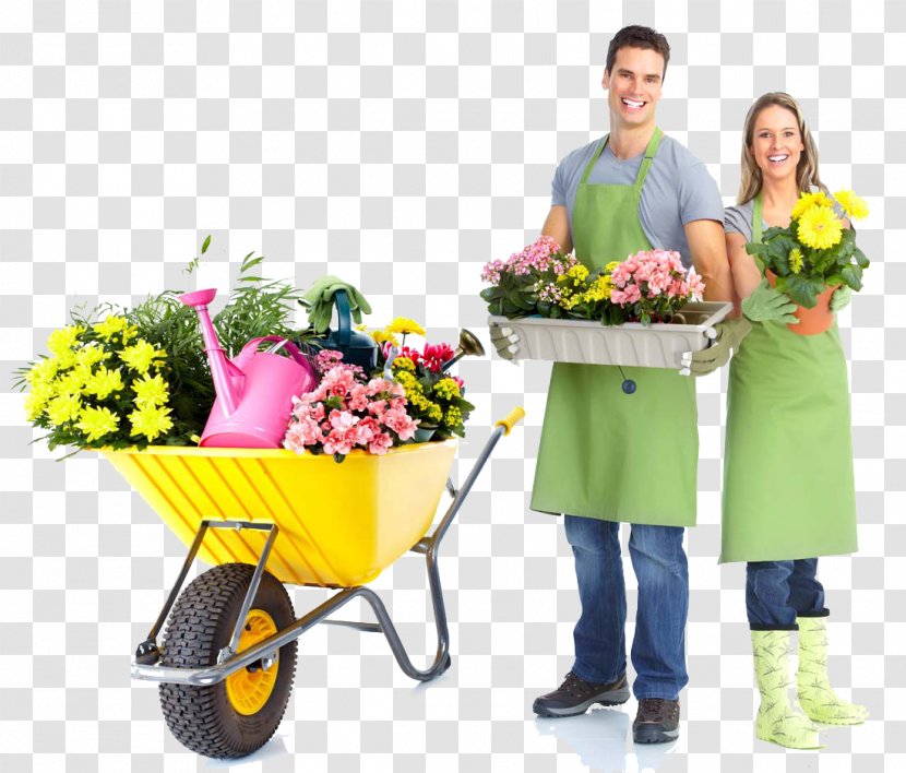 Gardening Landscaping Stock Photography - Ornamental Plant - Fashion Male And Female Couple Transparent PNG