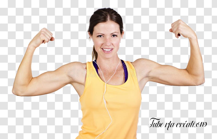 Stock Photography Biceps Arm Muscle - Tree Transparent PNG