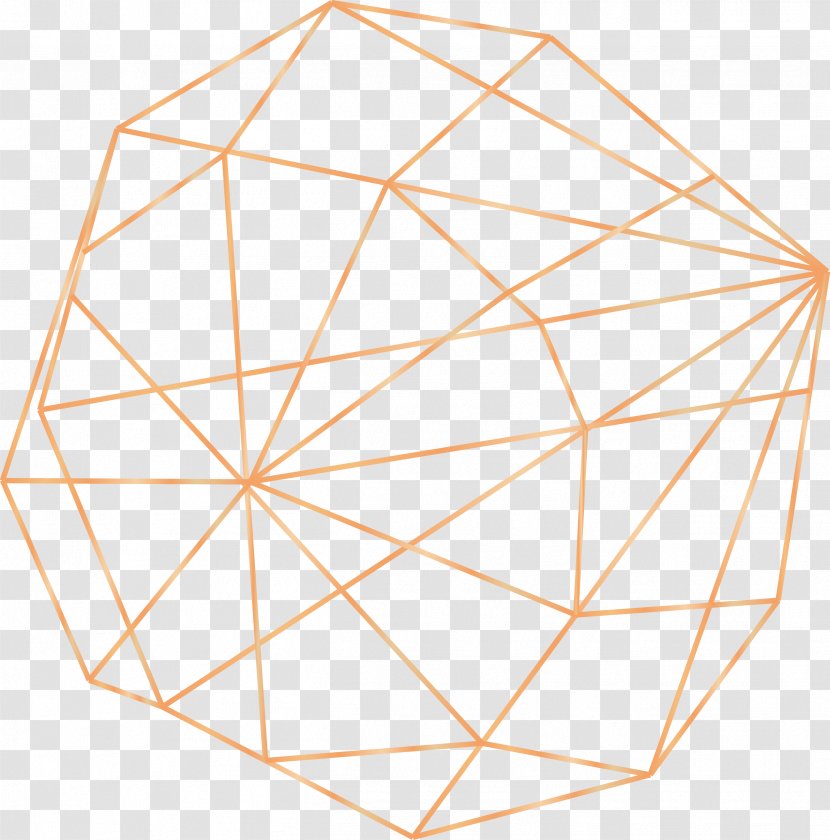 Solid Geometry Beach Rose - Structure - GEOMETRIC LINES Transparent PNG