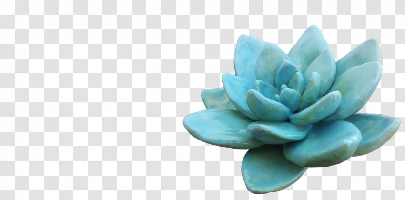 Turquoise Teal Flower Petal Body Jewellery - Suculent Transparent PNG