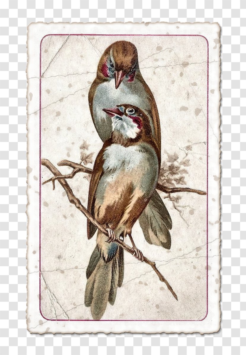 Cover Art Rubber Stamp Page Layout - Craft - Vintage Birds Transparent PNG