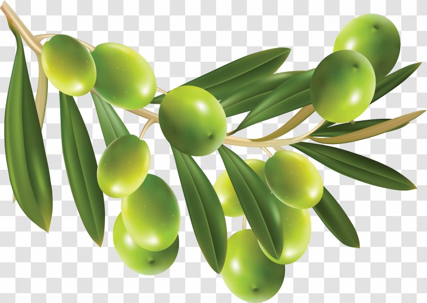 Olive Clip Art - Plant - Green Olives Transparent PNG