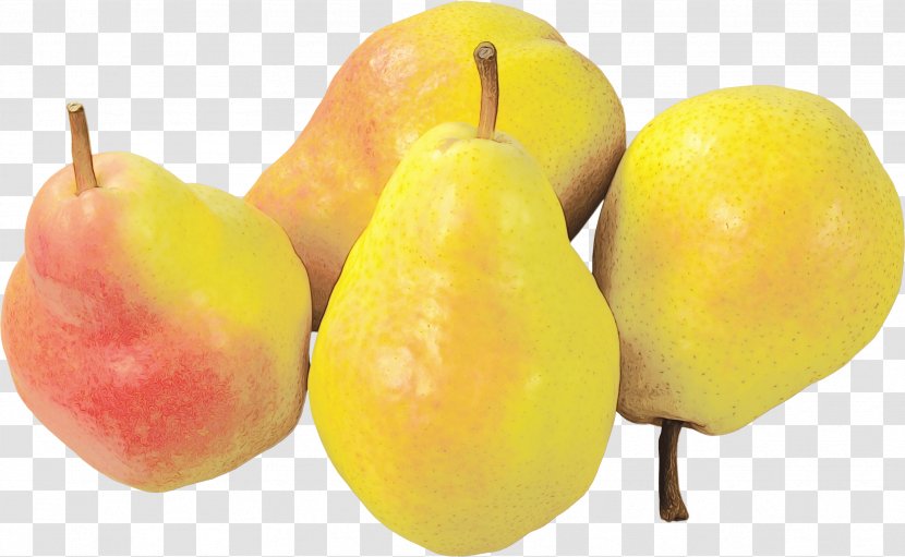 Apple Tree - Natural Foods - Fruit Ataulfo Transparent PNG