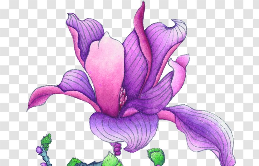 Violet Euclidean Vector Flower - Floral Design - Purple China Wind Antiquity Transparent PNG