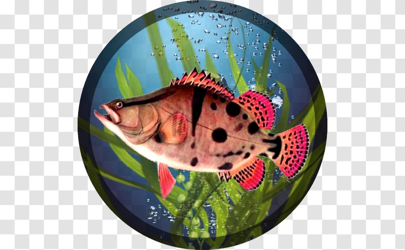 Fishing PRO Rapala Fishing: Daily Catch Android Angling - Vkontakte Transparent PNG