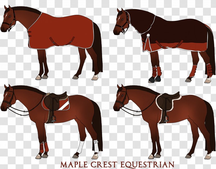 Mustang Stallion Foal English Riding Bridle Transparent PNG