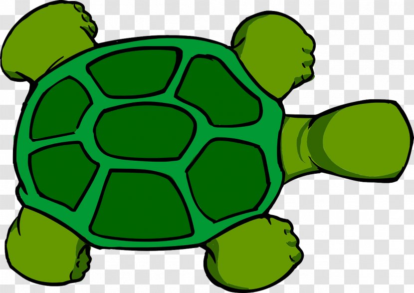 Sea Turtle Clip Art - Green Transparent PNG