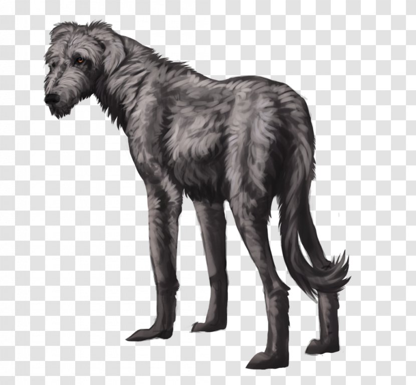 Scottish Deerhound Gray Wolf Irish Wolfhound DeviantArt Drawing - Heart - Huan Transparent PNG