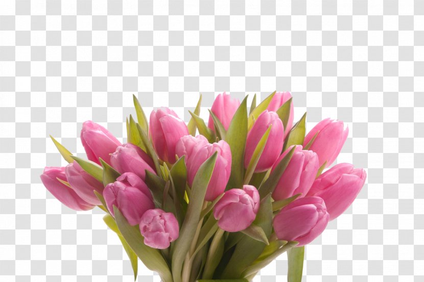 Tulip Cut Flowers Mother's Day Flower Bouquet Transparent PNG