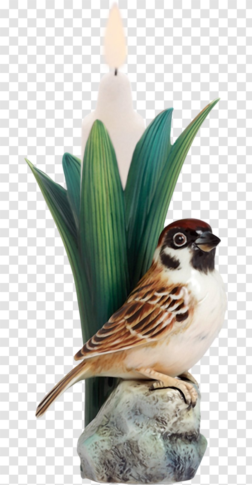Franz Collection Tree Sparrow Vase Porcelain Ceramic Transparent PNG