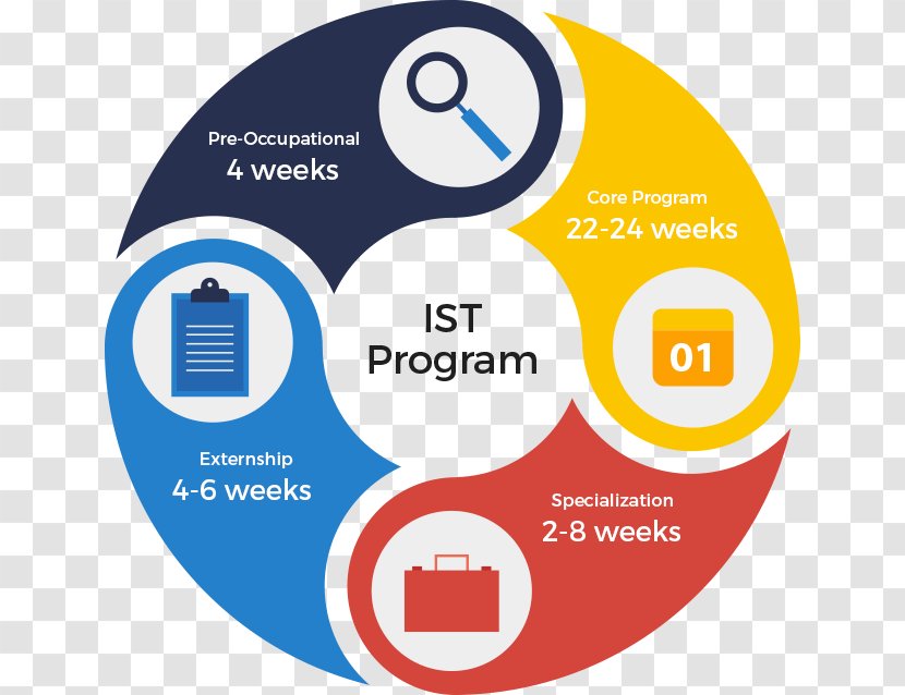 Infographic Design Template Microsoft Word Chart - Compliance Program Structure Transparent PNG