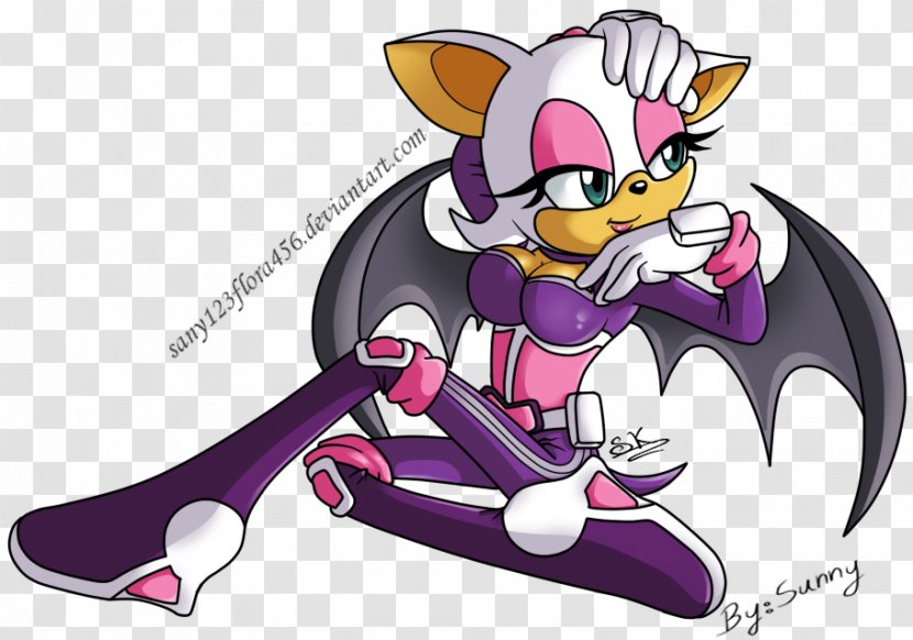 Sonic Heroes Rouge The Bat Blaze Cat Marine Raccoon - Heart - Hero Transparent PNG