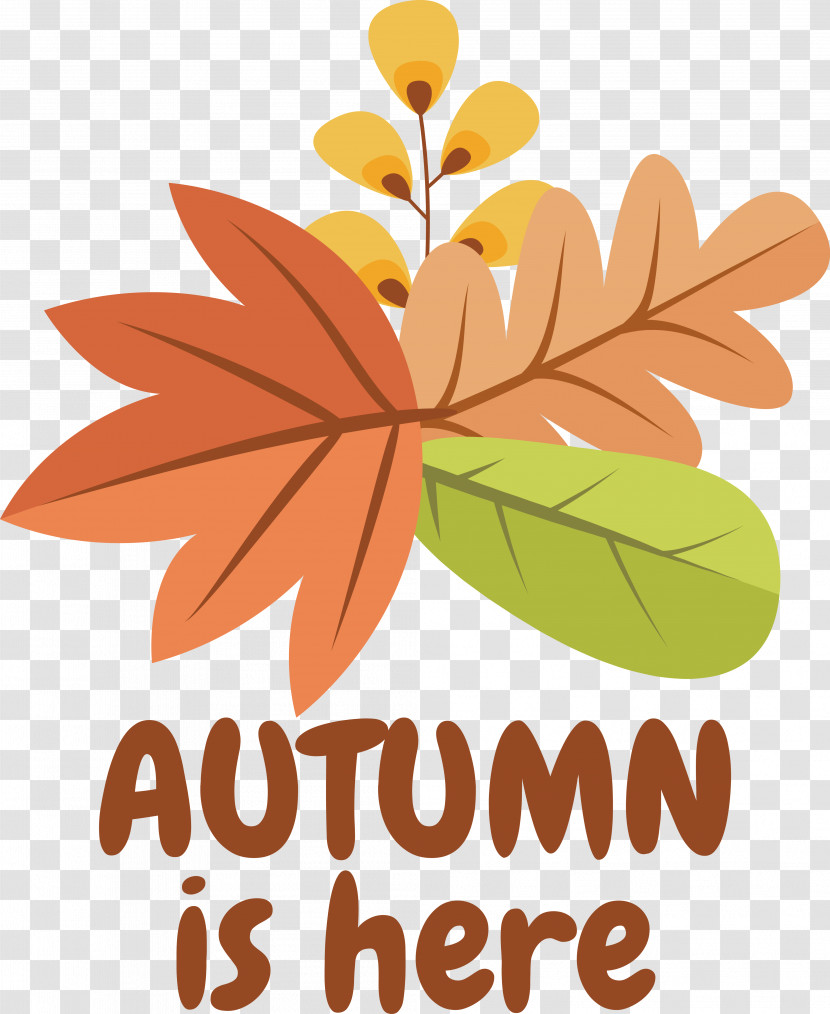 Icon Drawing Autumn Logo Transparent PNG