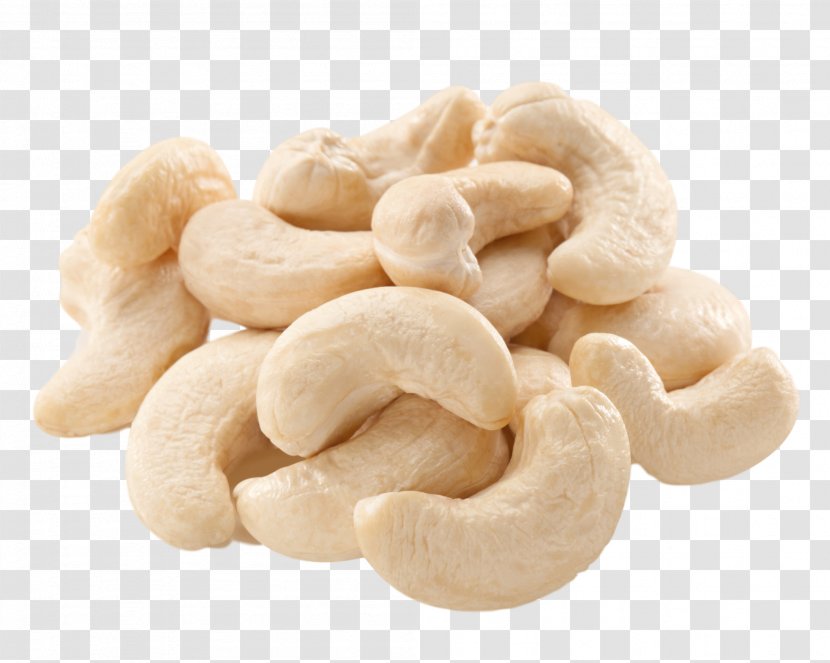 Indian Cuisine Cashew Kaju Barfi Korma - Peanut - Nuts Transparent PNG