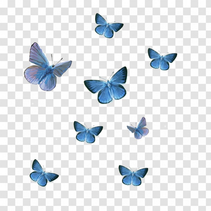 Butterfly Clip Art Wanna One Image - Papilio Zalmoxis Transparent PNG