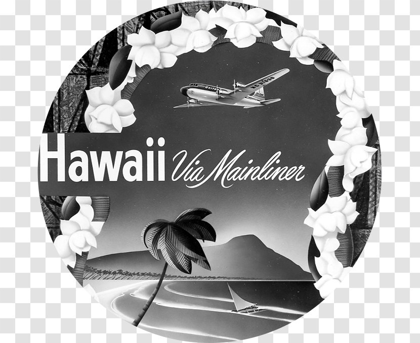 Hawaii Oahu Flight Airplane United Airlines Transparent PNG