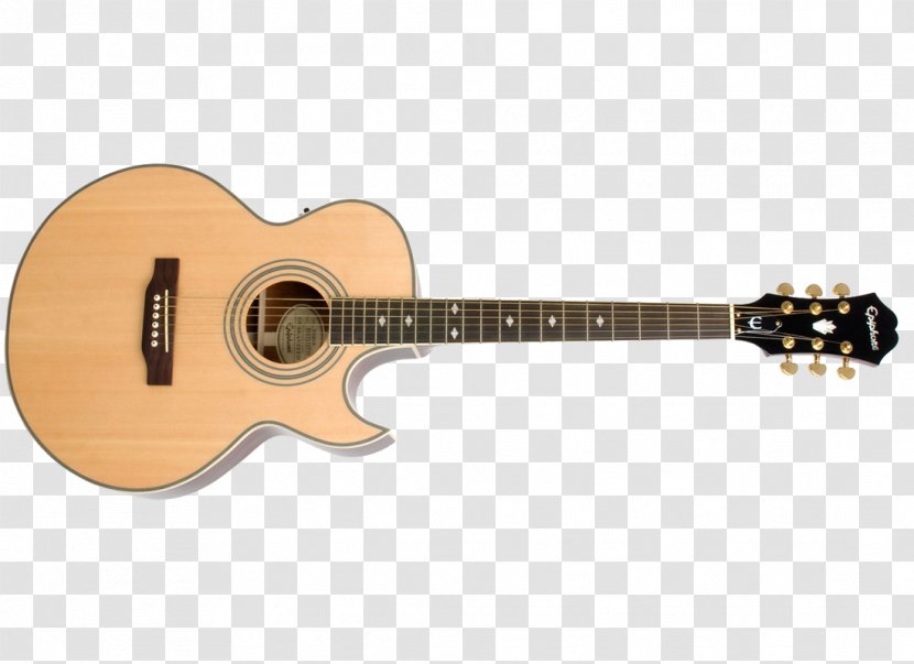 Epiphone PR5-E Acoustic-Electric Guitar Acoustic - Cartoon Transparent PNG