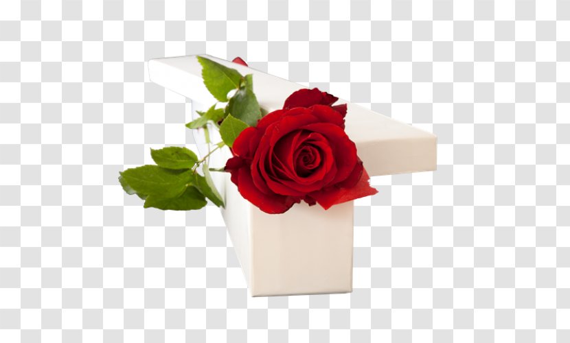 Garden Roses Floral Design Cut Flowers Flower Bouquet - Rose Order Transparent PNG
