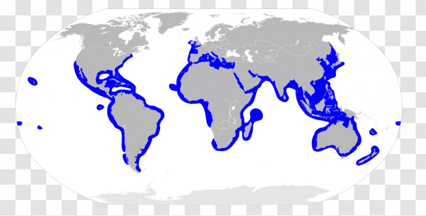 World Map Globe Shark - Country Transparent PNG