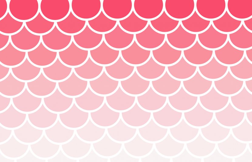Scallop Pattern - Food - Background Transparent PNG