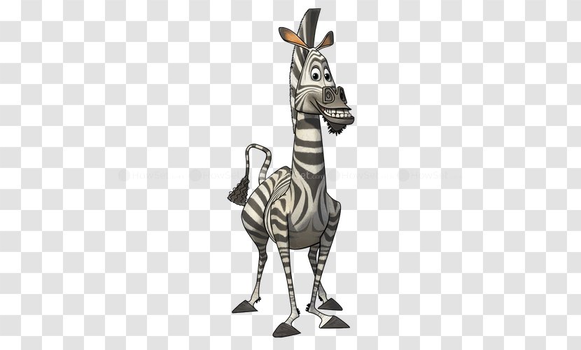 Marty Alex Melman Madagascar Julien - Neck Transparent PNG