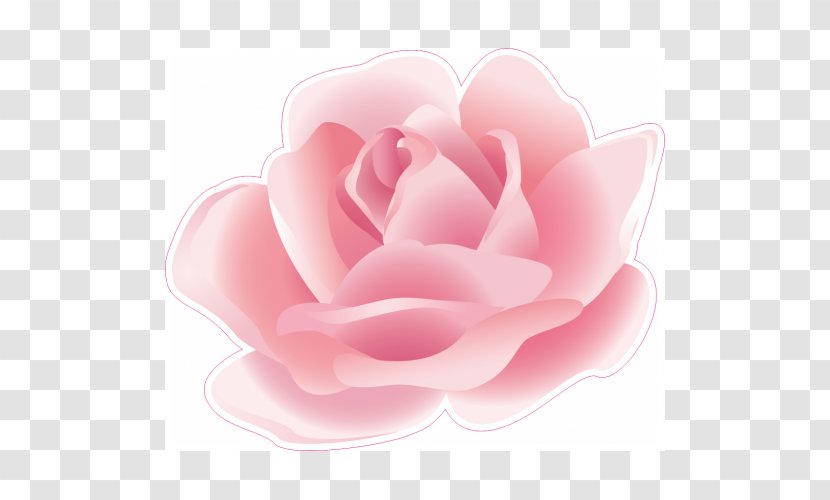 Flower Petal Garden Roses - Rose Order Transparent PNG