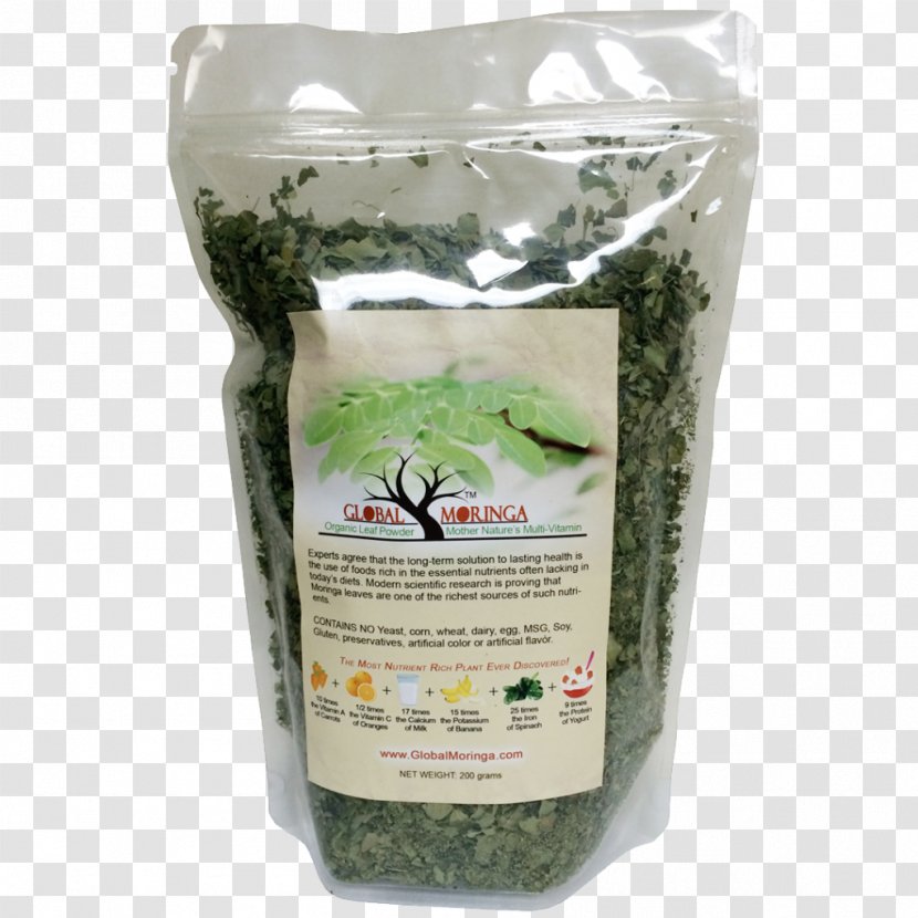 Drumstick Tree Nutrient Vitamin Mineral Superfood - C - Moringa Transparent PNG
