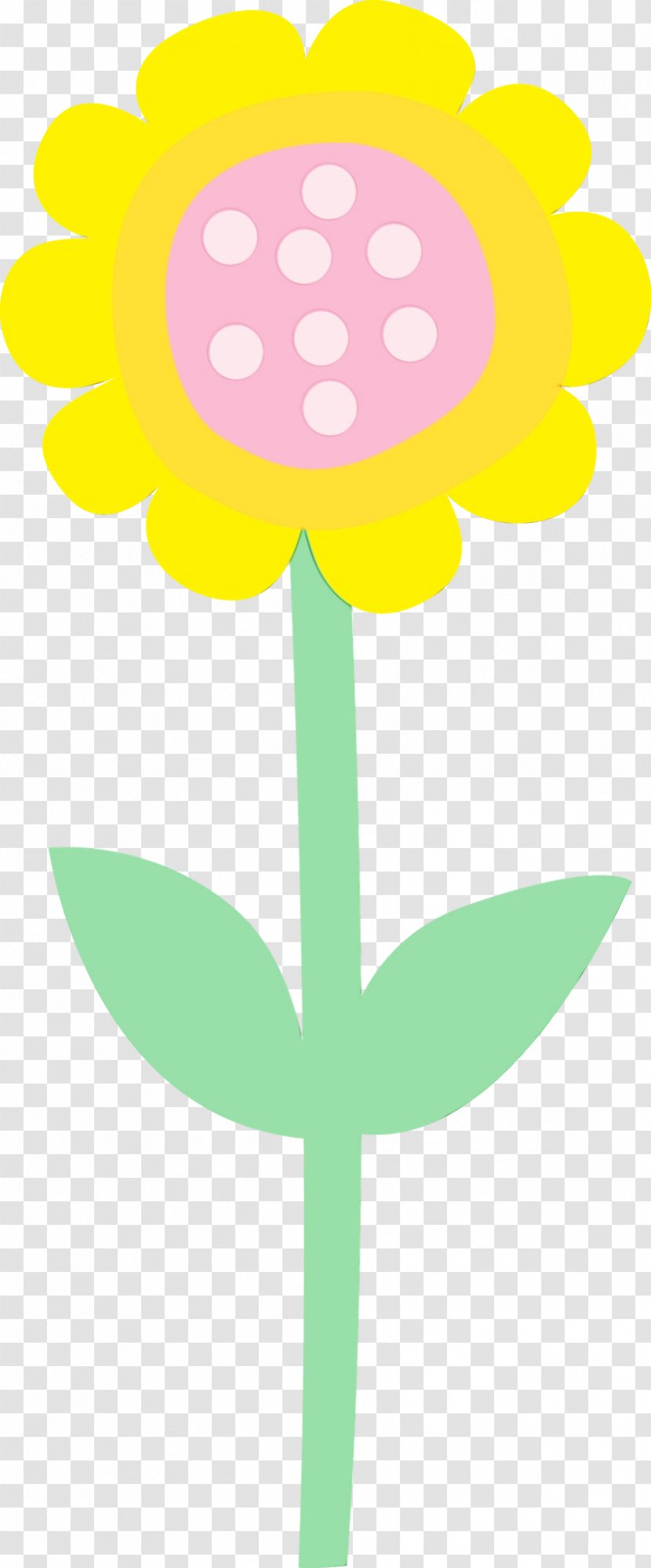 Plant Flower Petal Wildflower Stem Transparent PNG